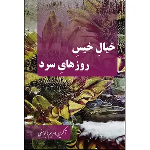 کتاب خیال خیس روزهای سرد اثر آگرین یوسفی انتشارات ارسطو