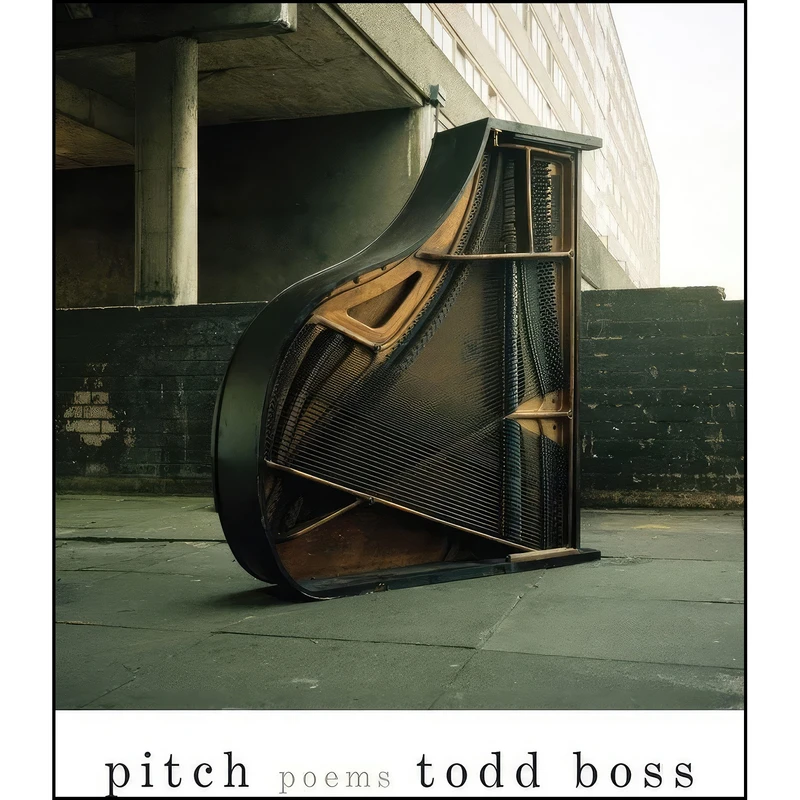 کتاب Pitch اثر Todd Boss انتشارات W. W. Norton And Company