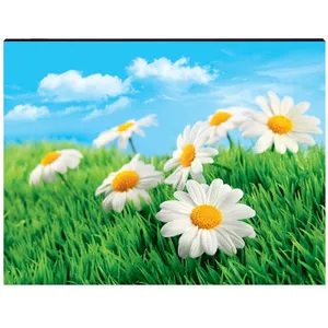 DecoGraph Flower 202 Chassis Size 30 x 40 Cm