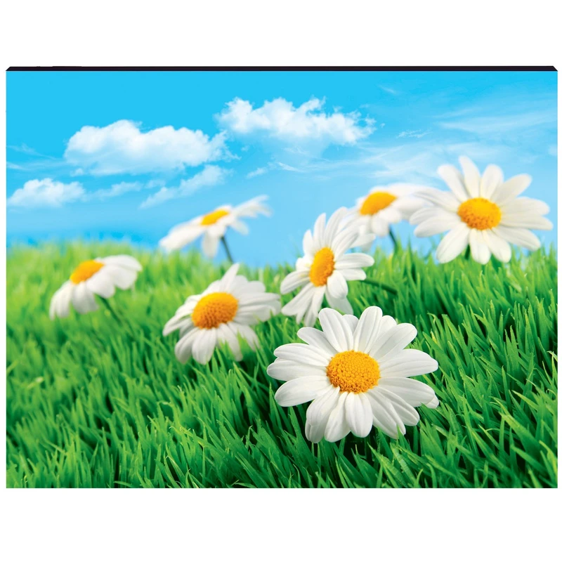 تابلو شاسی دکوگراف مدل Flower کد 202 سایز 30 × 40 سانتی متر