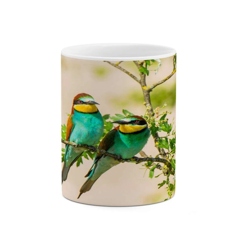 ماگ کاکتی مدل پرنده کد mgh16799