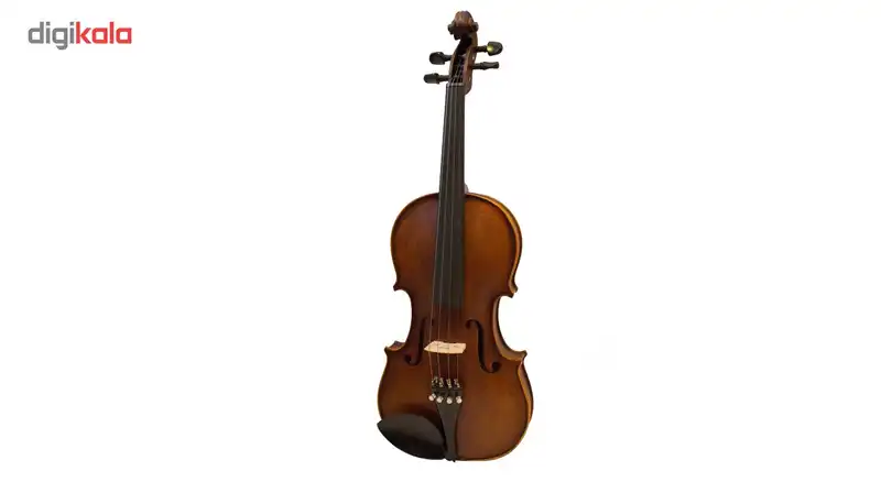 ویالن رناتو220 سایز 4/4