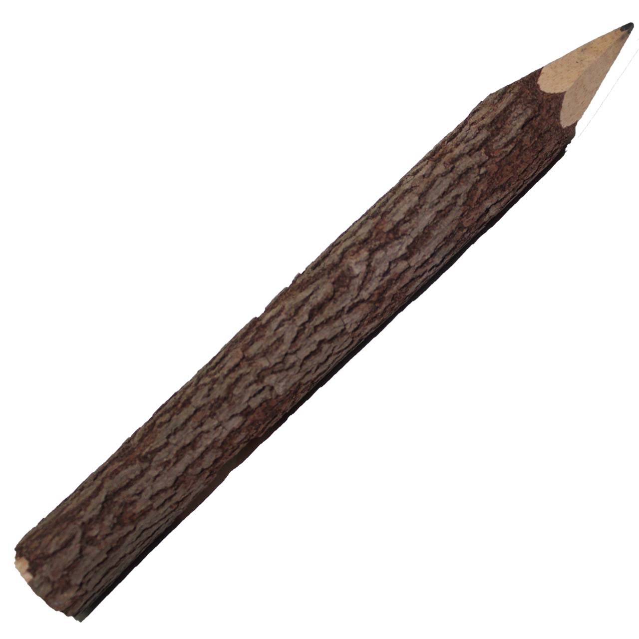 مداد مشکی مدادچوبی مدل کوتاه1 عدد