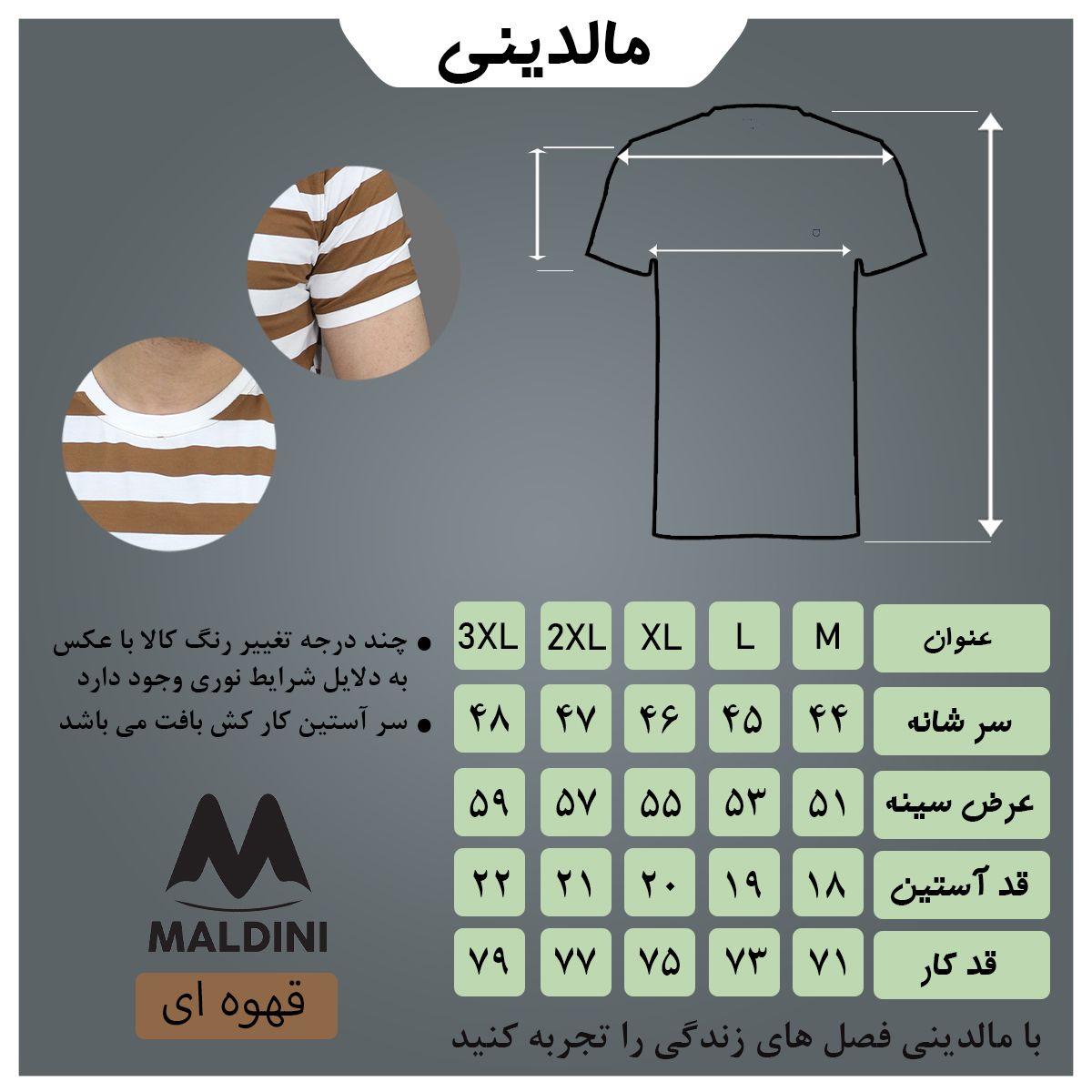 تی شرت آستین کوتاه مردانه مالدینی مدل T-472 - - 5