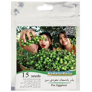 بذر بادمجان نخودی سبز مدل GL15