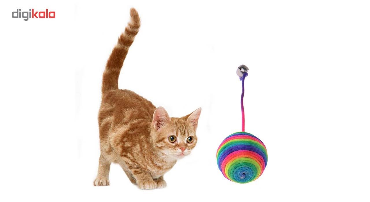 اسباب بازی گربه طرح توپ زنگی مدل Colorful Teaser Ball