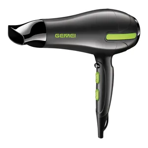 GEMEI hair dryer