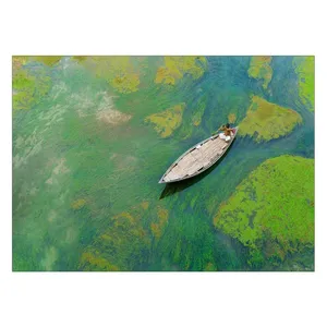 Wensoni Boat on Reeky Lake Chassis 30 x 40