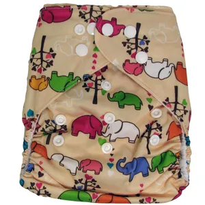 شورت آموزشی کارترز مدل فیل