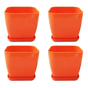 Golpooneh Orchid 144 Plant Pot Pack Of 4