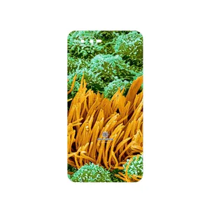 MAHOOT Atom Universe 6 Cover Sticker for Oppo K1