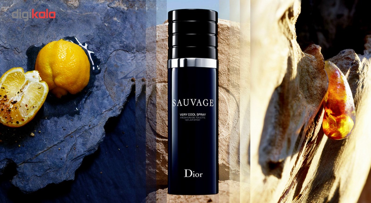 sauvage spray very cool