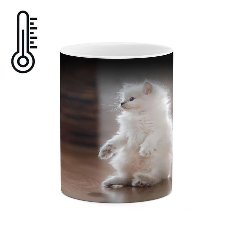 ماگ حرارتی کاکتی مدل گربه کد mgh16724