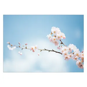Wensoni Spring Bloom Chassis Size 50 x 70 Cm