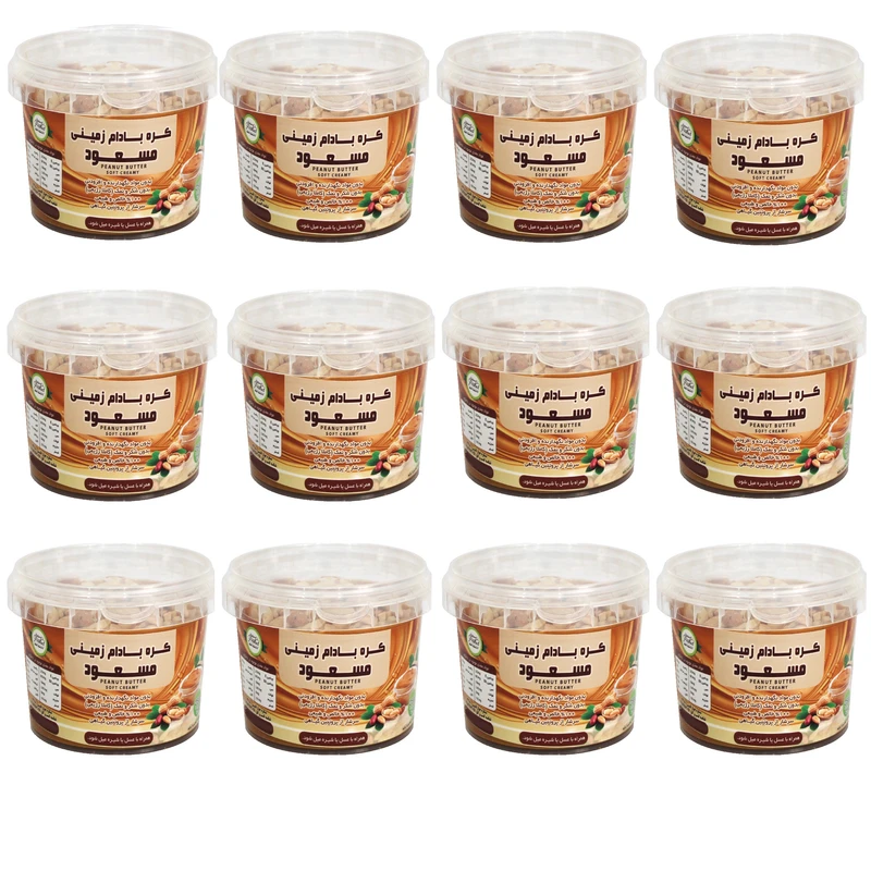 کره بادام زمینی رژیمی کرانچی مسعود - 250 گرم بسته 12 عددی