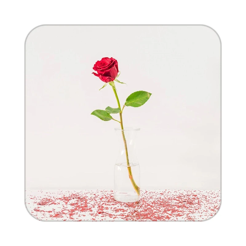 زیر لیوانی کاکتی طرح گل مدل mp17742