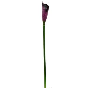نقد و بررسی گل مصنوعی هومز طرح شیپوری متوسط لمسی مدل 35282 مجموعه 4 عددی توسط خریداران
