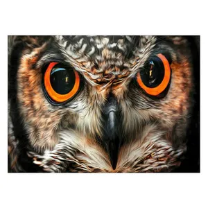 Wensoni Owl Art  Chassis 40 x 30