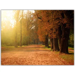DecoGraph Autum 234 Chassis Size 30 x 40 Cm