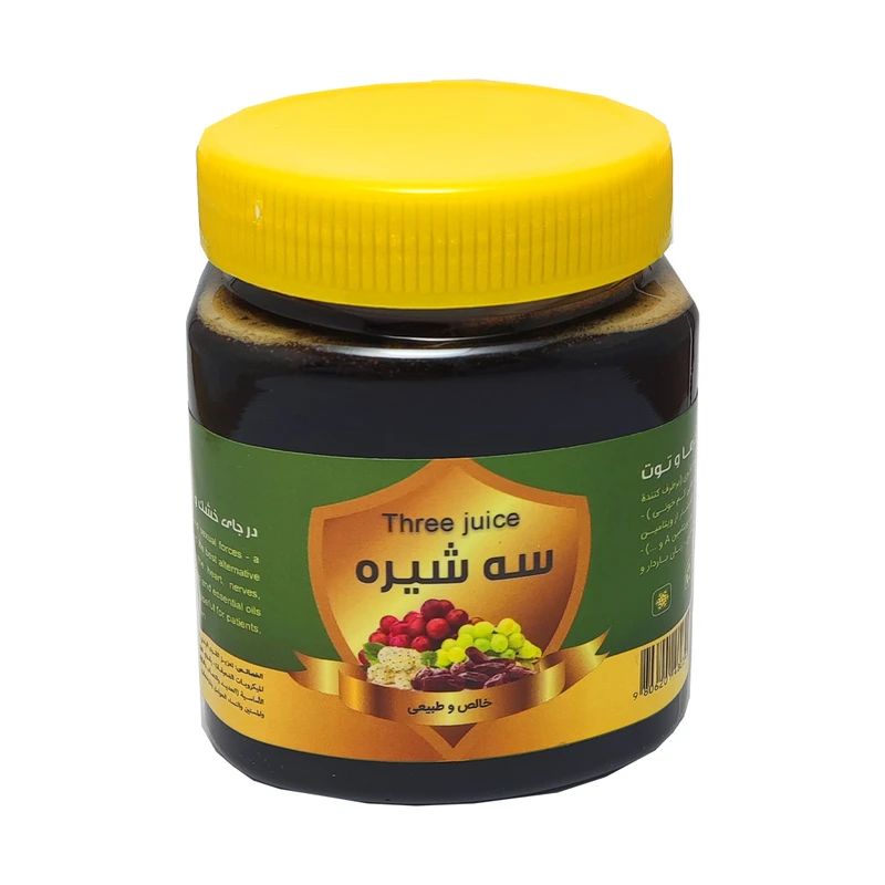 سه شیره انگور توت و خرما ممتاز حس خوب - 500 گرم