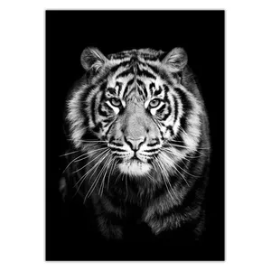 Wensoni Stalwart Tiger Chassis Size 50 x 70 Cm