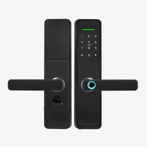 Smart Myer DL-M3 Intelligent Door Lock