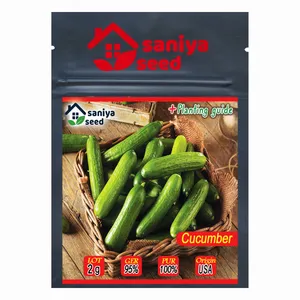 بذر خیار بوته ای سانیا سید مدل S21