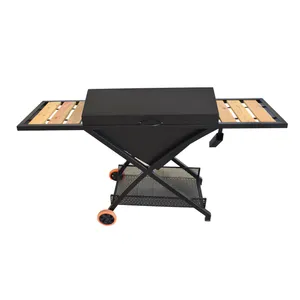 باربیکیو مدل B2