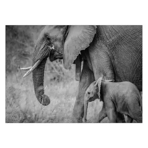 Wensoni Elephant Tiredness Chassis Size 50 x 70 Cm