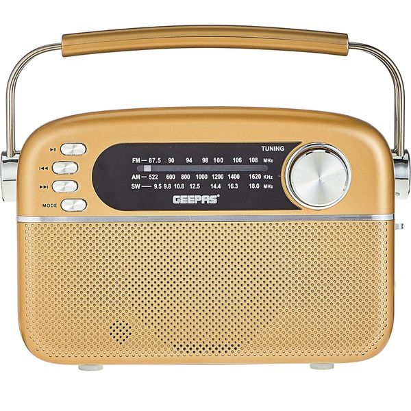 رادیو اسپیکر جی پاس مدل GR13015 دارای پورت USB