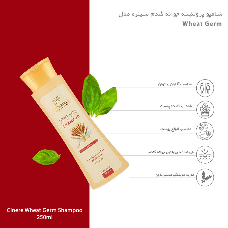 شامپو مو سینره مدل Wheat Germ مناسب انواع مو حجم 250 میلی لیتر