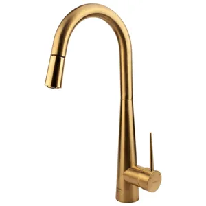 Kasra mat gold atoosa pull out kitchen mixer