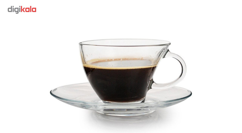 ست فنجان و نعلبکی پاشاباغچه مدل Penguen کد 98396 بسته 6 عددی