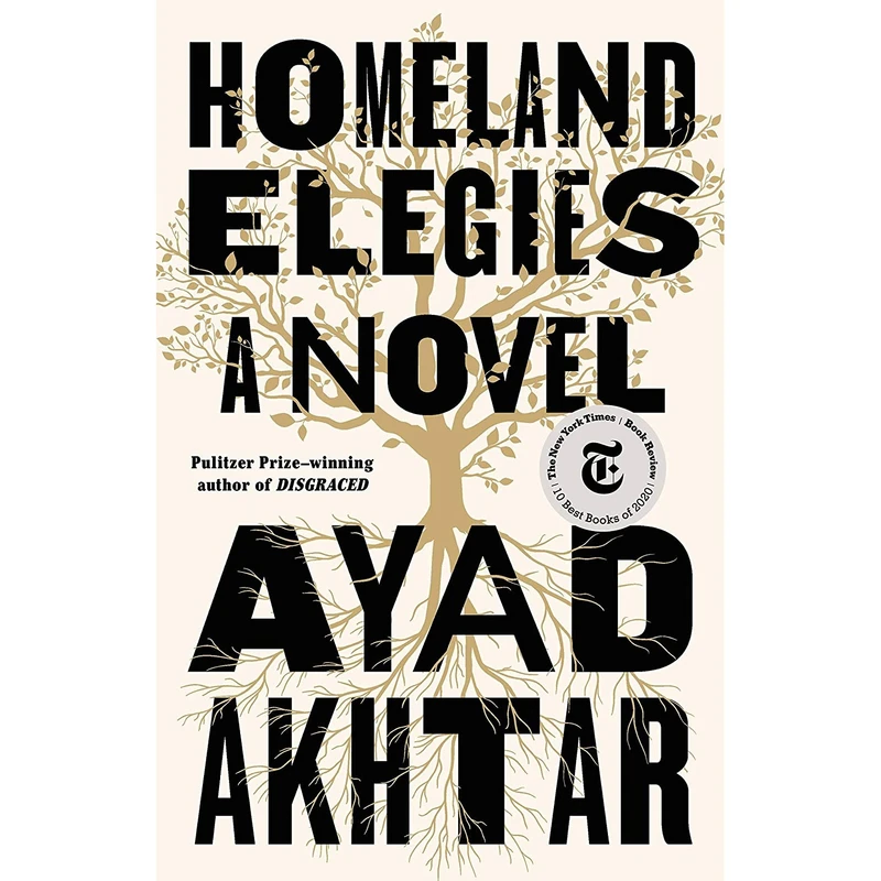 کتاب Homeland Elegies: A Novel اثر Ayad Akhtar انتشارات Little, Brown and Company