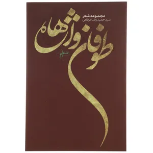 کتاب طوفان واژه‌ ها اثر حمیدرضا برقعی