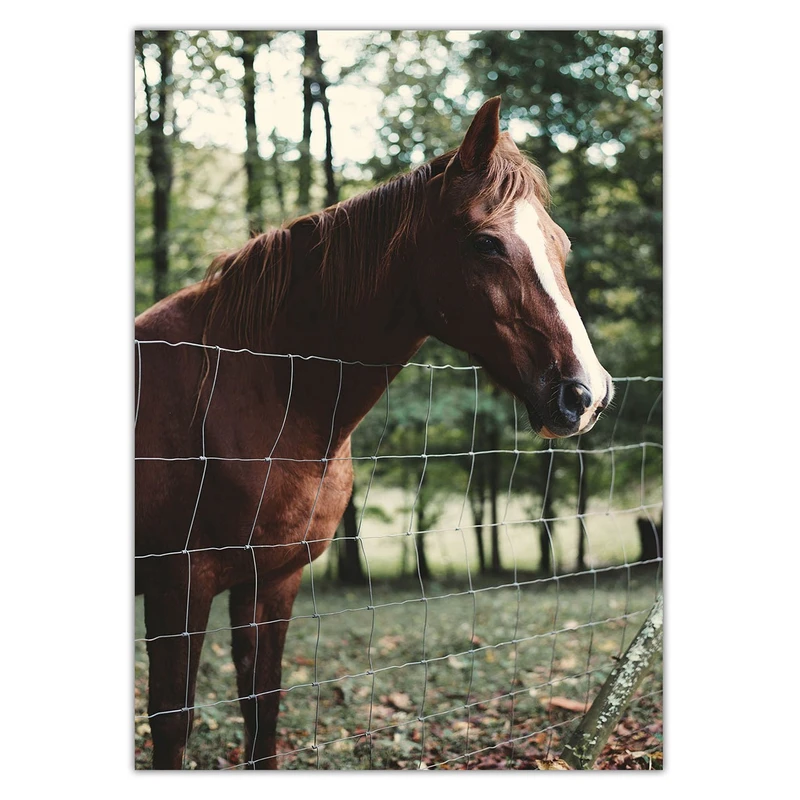 تابلو شاسی ونسونی طرح Horse in Hippodrome سایز 50x70 سانتی متر