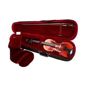 ویولن آکوستیک کارل هافنر مدل AS-180-V