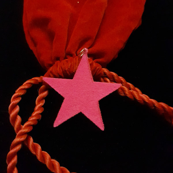 آویز گردنبند زنانه مدل ستاره کد 100