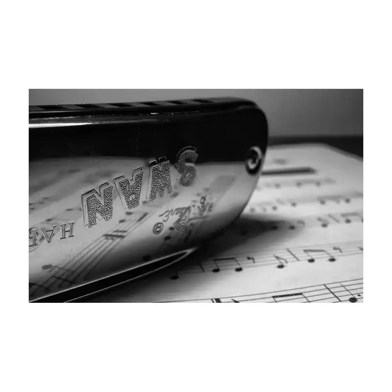 سازدهنی سوان مدل G.H10 BLUES