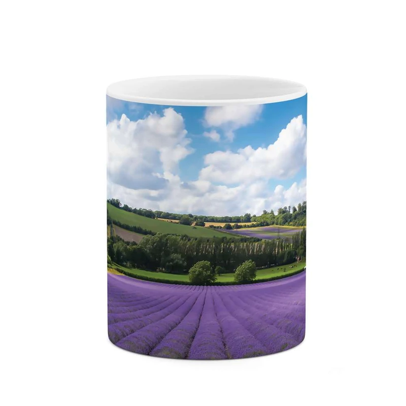 ماگ کاکتی مدل مزرعه گل کد mgh10134