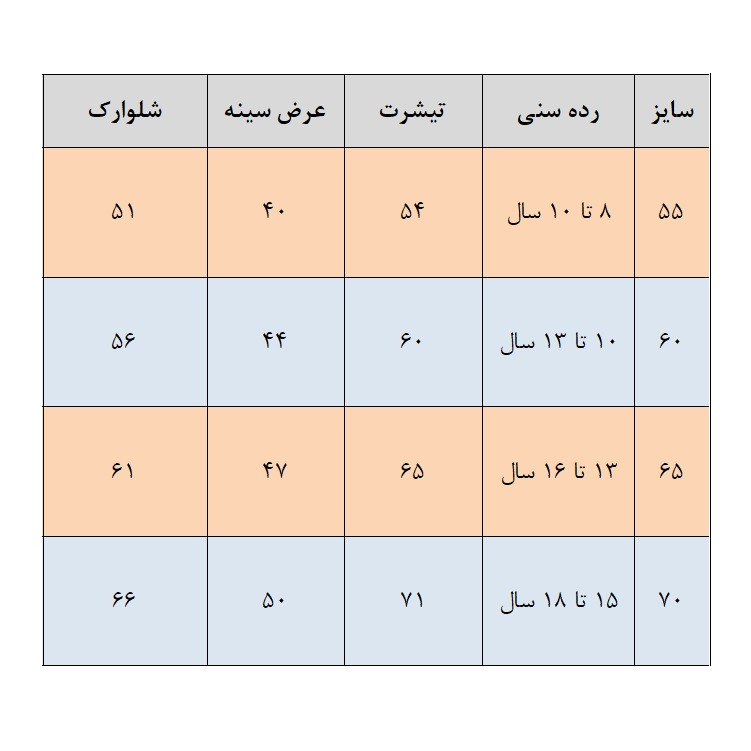 ست تی‌شرت و شلوارک پسرانه مدل 05