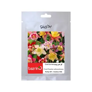 بذر گل حسن یوسف Coral Sunrise بذرینو کد BZNO-106