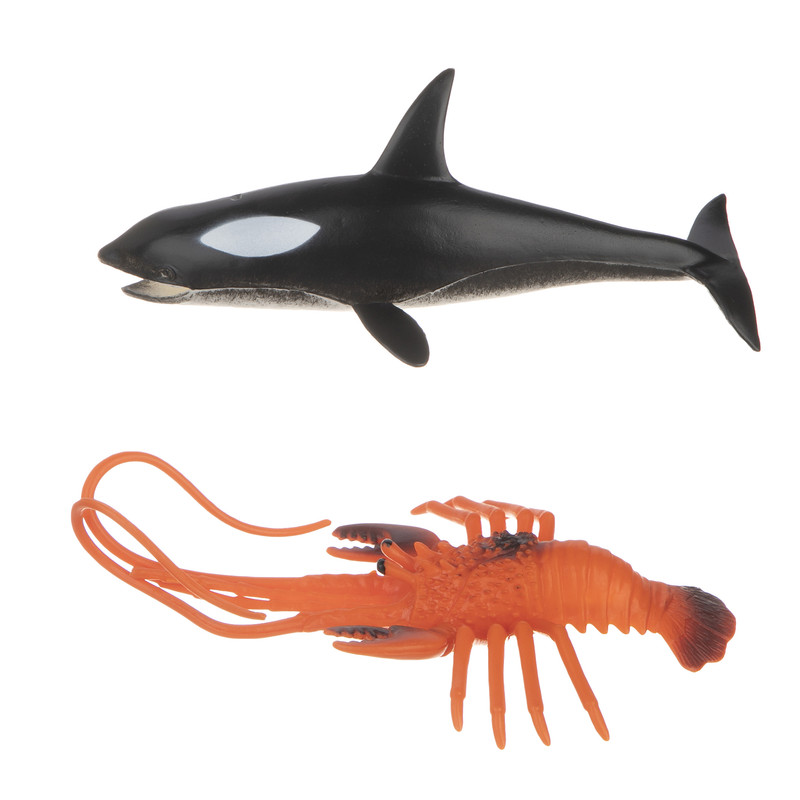 فیگور مدل حیوانات دریایی کد mh1 مجموعه 2 عددی