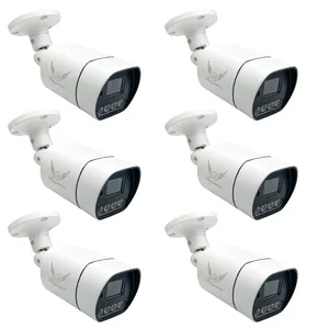 Raymoon Network Surveillance Camera, Model 8 Megapixel, Code 60Q, Pack Of Six