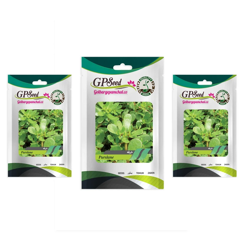 بذر خرفه گلبرگ پامچال کد GPF-332 مجموعه 3 عددی