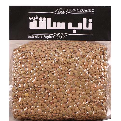 عدس ناب ساقه غرب - 1 کیلو گرم