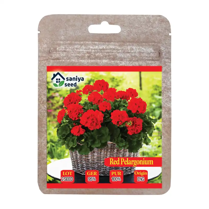 بذر گل شمعدانی قرمز سانیا سید مدل SS72