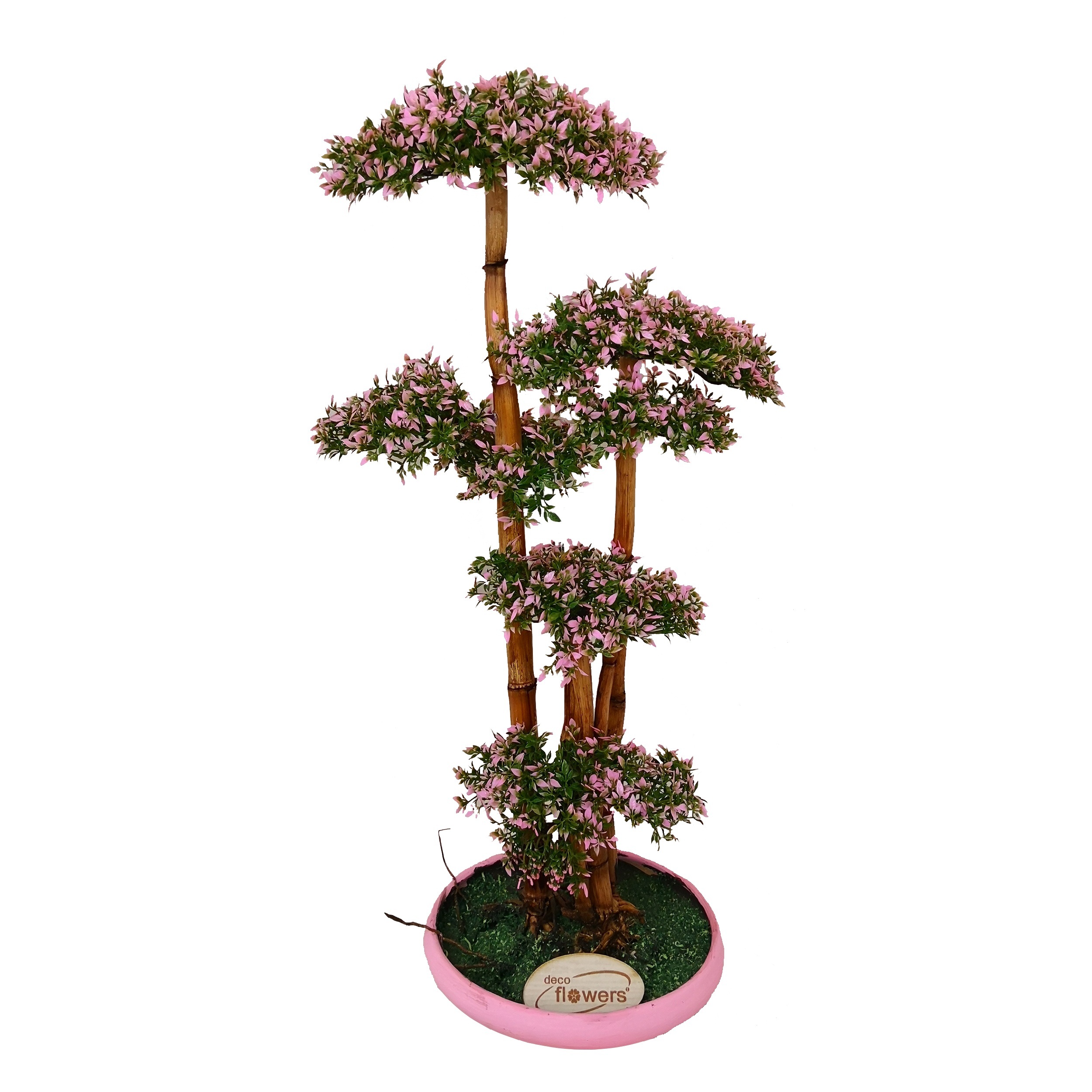 گلدان به همراه درختچه مصنوعی دکوفلاورز مدل bonsai 12