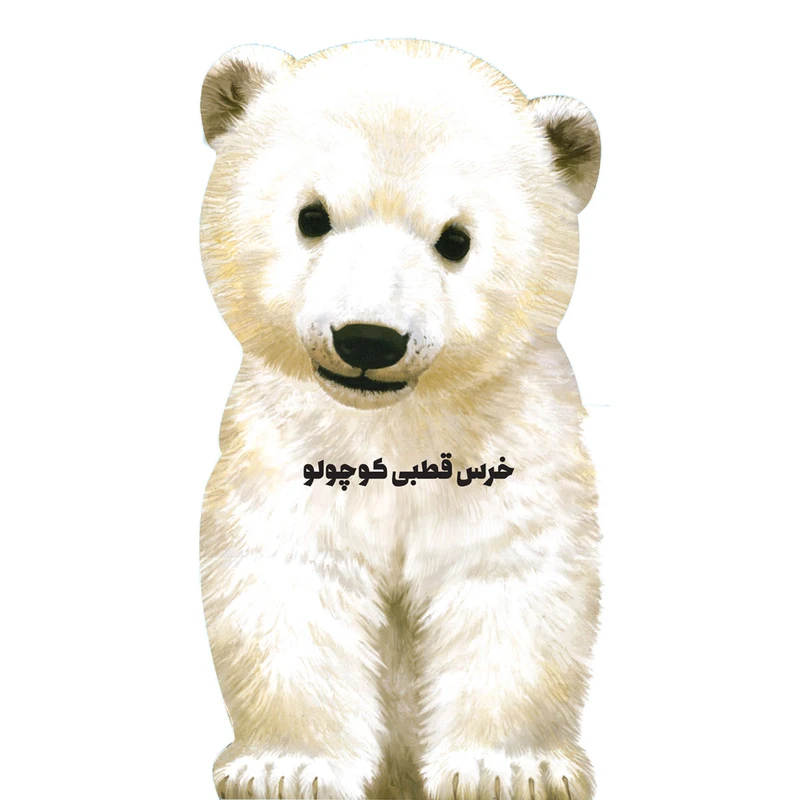 کتاب خرس قطبی اثر جیووانی کاویتسل انتشارات بین المللی گاج