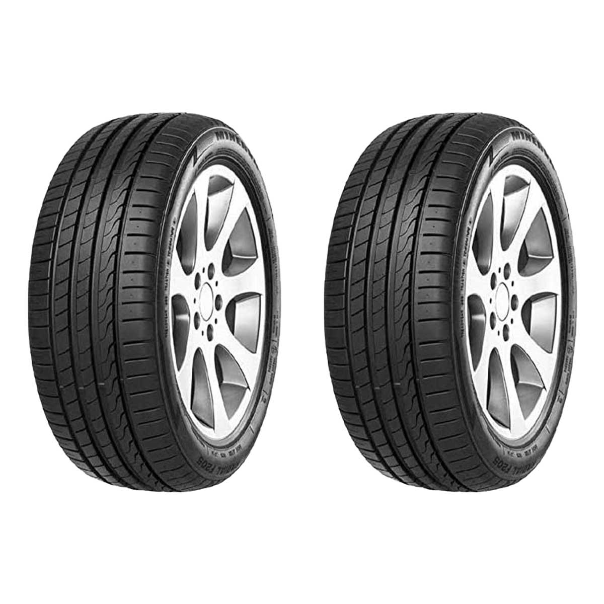 لاستیک خودرو مینروا مدل F205 سایز 225/55R17 - دو حلقه